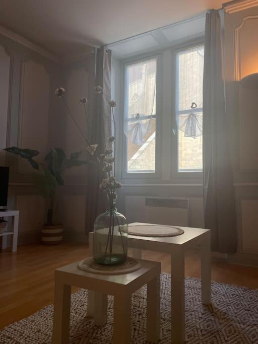 « Au Coeur De Dole » Lejlighed Eksteriør billede